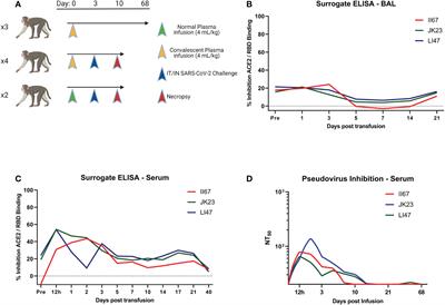 Mid-titer human convalescent plasma administration results in suboptimal prophylaxis against SARS-CoV-2 infection in rhesus macaques